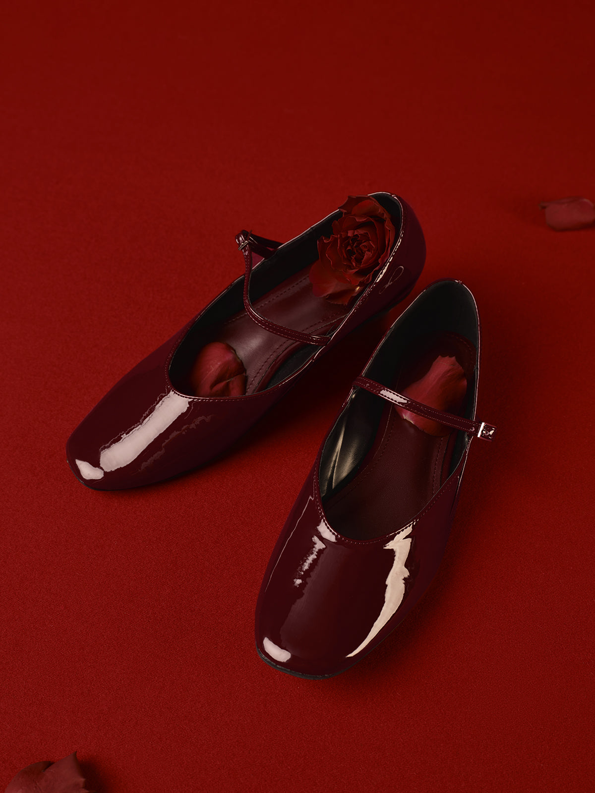 Clara | Elegante Ballerinas mit Schnallenriemen