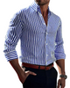 Lennart | Elegantes Gestreiftes Hemd