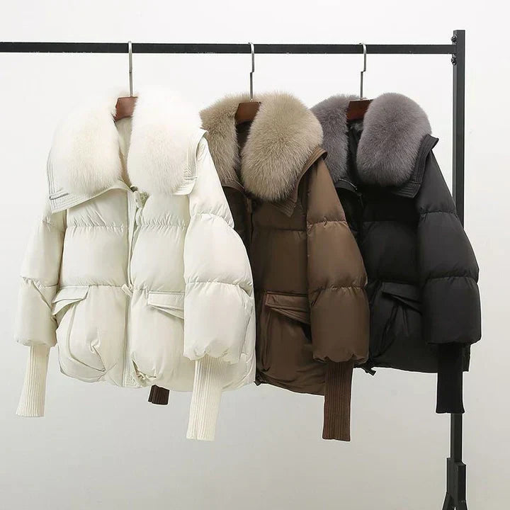 Brodie | Indi™ - Jacke