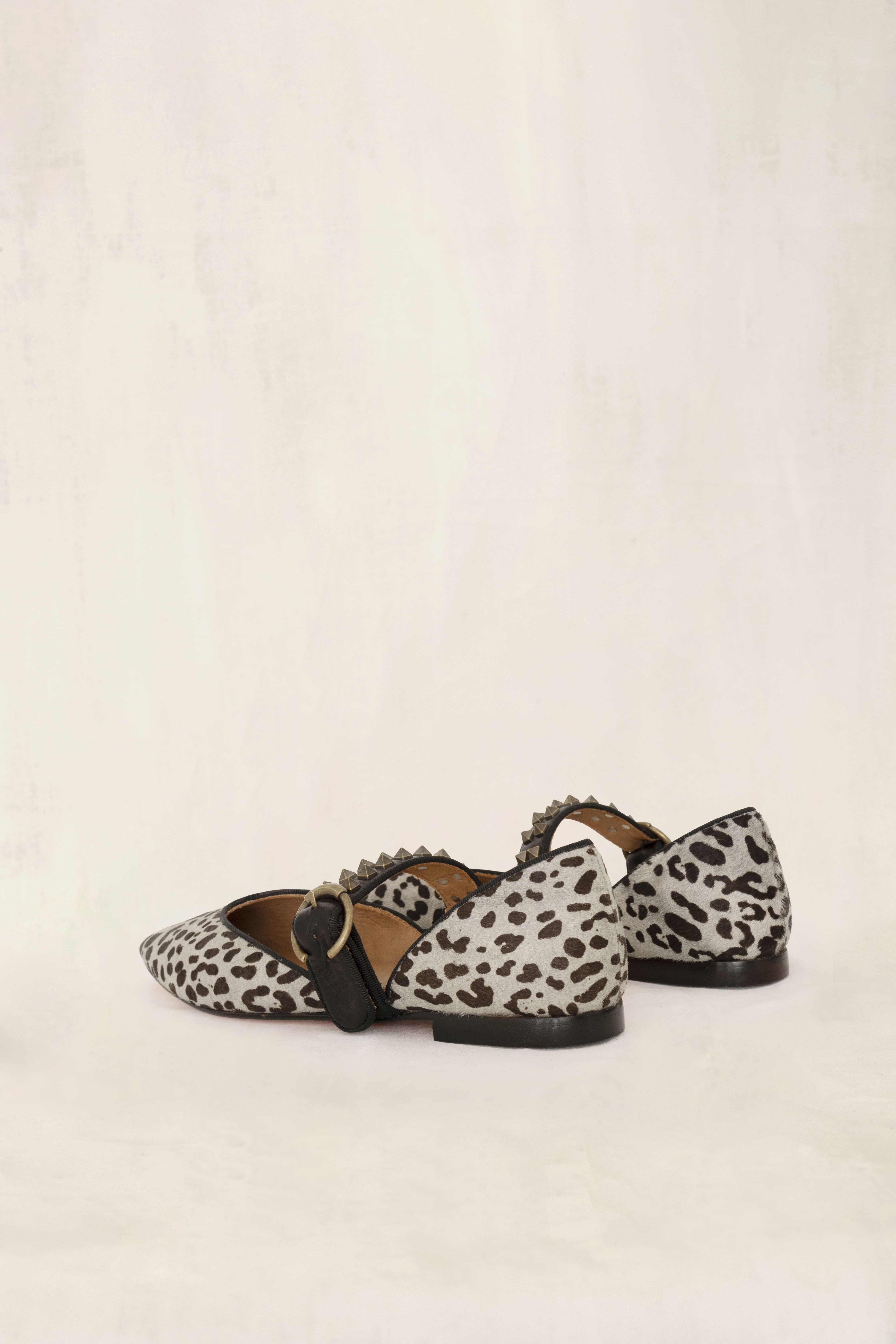 Diana | Sabrina Druck C/2017